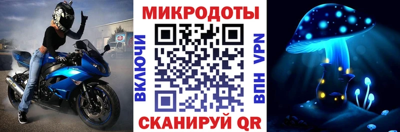 Псилоцибиновые грибы Cubensis  Куровское 